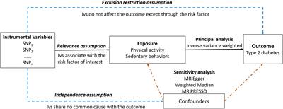 Physical activity, sedentary behavior, and the risk of type 2 diabetes: A two-sample Mendelian Randomization analysis in the European population